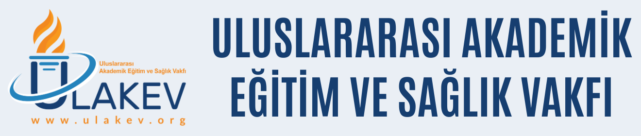 Blog Single